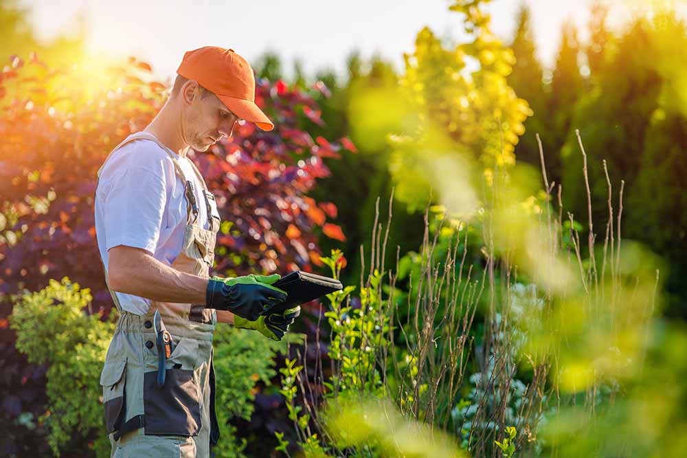 Landscape Contractors Milton