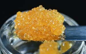 Cannabis Concentrates